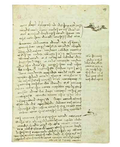 Codex on the Flight of Birds, Folio 13 Recto by Leonardo da Vinci